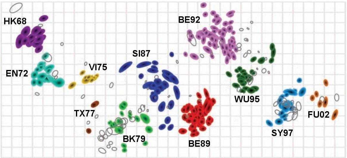 Antigenic map 2015